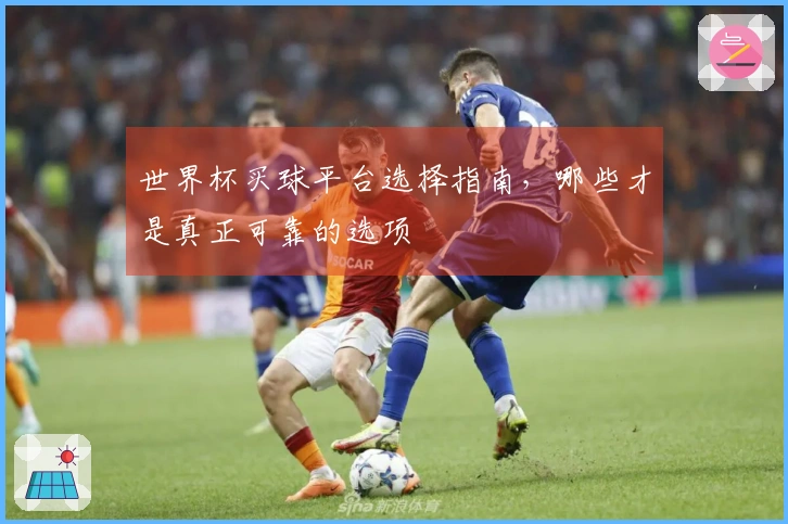 世界杯买球平台选择指南，哪些才是真正可靠的选项