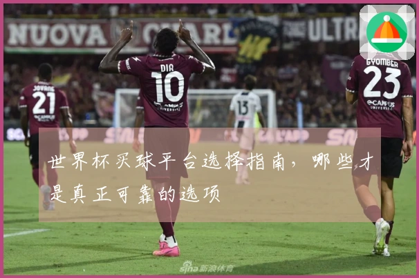 世界杯买球平台选择指南，哪些才是真正可靠的选项