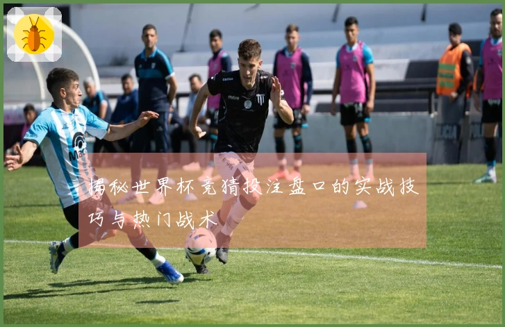 揭秘世界杯竞猜投注盘口的实战技巧与热门战术